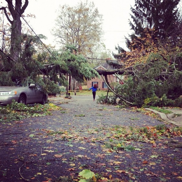The tress have had enough. | @JeanieJang